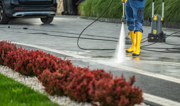 Best Roof Power Washing Services  in Gotha, FL